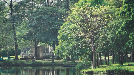 landscapse nature and sunset in parkの写真素材