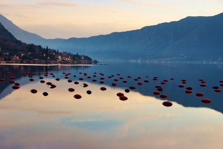 waterscape with mountain and mussel farm and perfect  mirror imageの写真素材