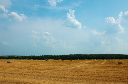 Hay bales of straw in the fieldの写真素材