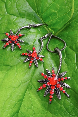 still life with bright red jewelry on fresh green leaveの写真素材
