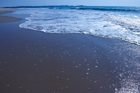 Sandy beach on sunny day covered with surfの写真素材