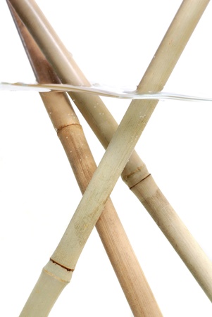 bamboo sticks under waterの写真素材