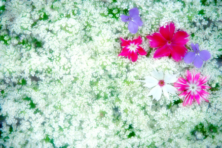 blurred green floral backgroundの写真素材