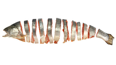 fresh raw cut salmon isolated on whiteの写真素材