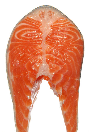 fresh raw salmon piece isolated on white backgroundの写真素材