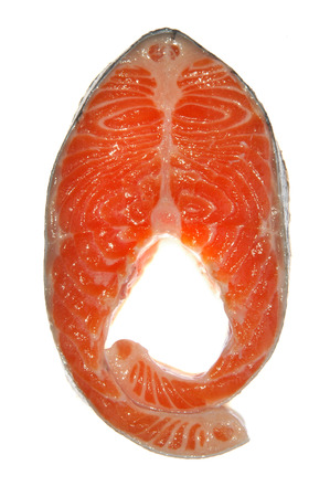 fresh raw salmon piece isolated on white backgroundの写真素材