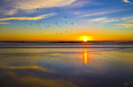 bright colourful sunset sky and stock of seagullsの写真素材