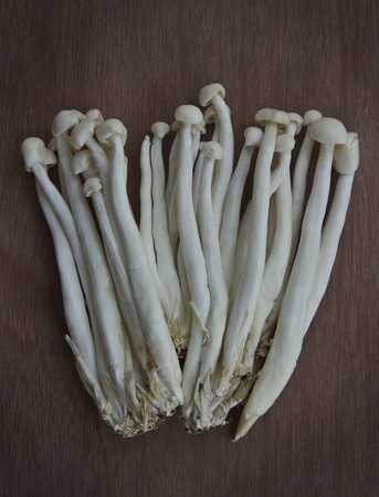 bundle of long stemmed mushrooms on wooden backgroundの写真素材