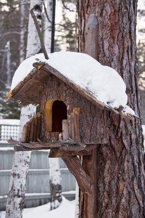 bird house on the tree in winterの写真素材