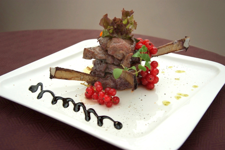 Gourmet deer meat with red currantの写真素材