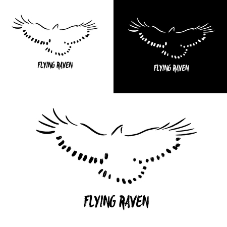 Grunge flying raven logo template. Vector illustration isolated on white. Artistic gesture painting. Black and white crowのイラスト素材