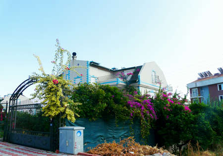 Street in Kemer, Turkey. Private house behind a green hedgeの写真素材