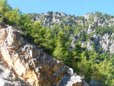 Forest on top of the mountain, cleft between mountainsの写真素材