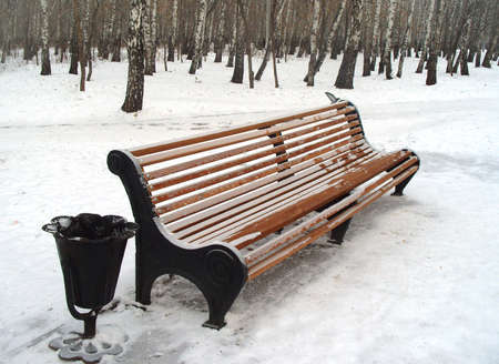 Bench in snow in a park in winter and doveの写真素材