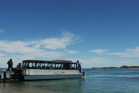 perth, penguin islandのeditorial素材