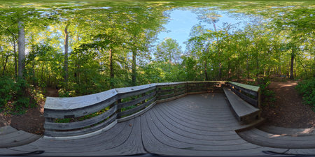 360 panorama VR, spherical image of conservation trail with wooden railings, created for safe...