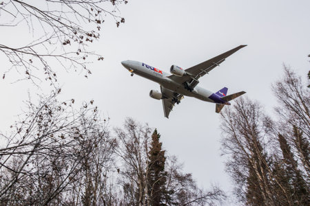 Cargo Airplane Flying Low Above Forest Trees Before Landing. Impressive low-angle view of a large cargo aircraft flying just above the trees in a forest area.のeditorial素材