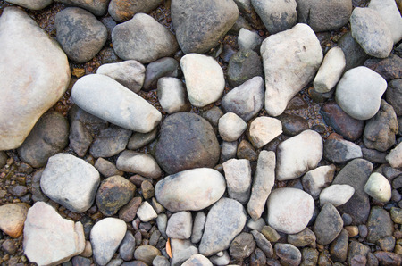 Many rocks