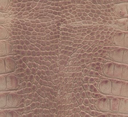 pink and brown crocodile leather textureの写真素材