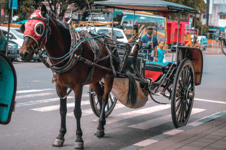 Malang, Indonesia -11 April, 2021: A horse drawn carriage with complete accessories is standing in front of the Batu city square with a wagon tied behind itのeditorial素材