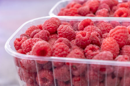 Pile of raw beautiful raspberries at plastic container. texture, backdrop. fresh dessert berriesの写真素材
