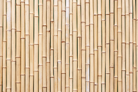 old brown bamboo texture background. tropical backdrop for designの写真素材