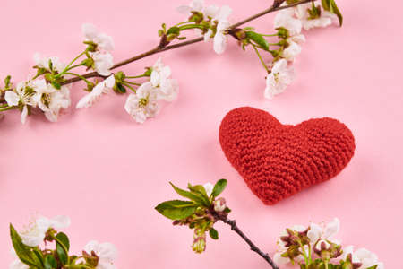 heart symbol. romance and love concept. pink background with spring flowers decorationの写真素材