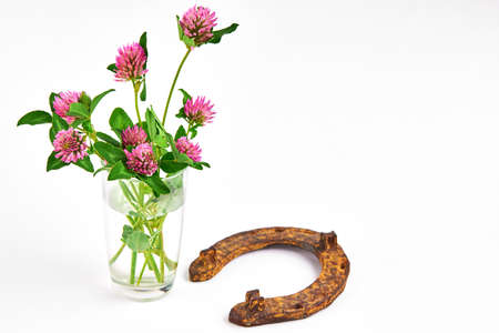 blooming clover flowers and rusty horseshoe over white background. simple luck conceptの写真素材