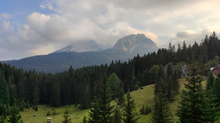 A scenic view with colorful trees and grand mountains behindの写真素材