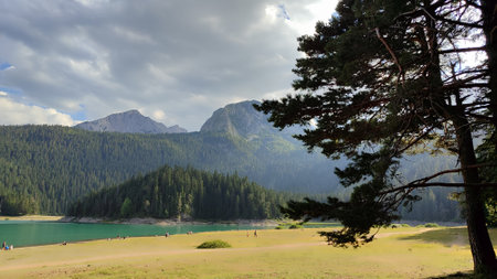 A lake surrounded by a lush forest and mountains in the backの写真素材