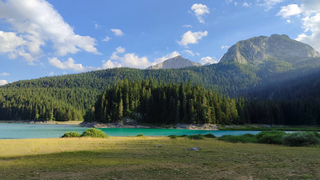 A lake surrounded by a lush forest and mountains in the backの写真素材