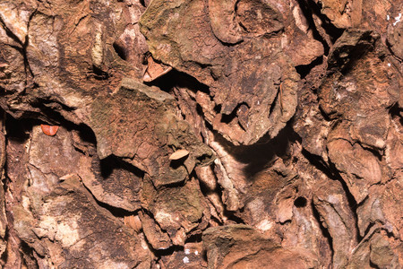 texturesの写真素材