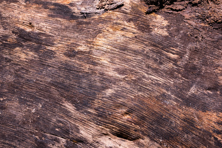 texturesの写真素材