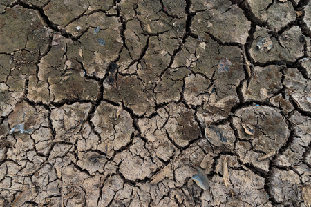 Dry soil Texture Background and Wallpaper