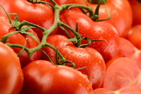 Composition with fresh tomatoesの写真素材