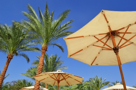 Sea beach during hot summer dayの写真素材