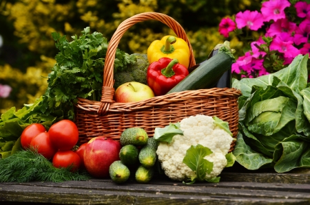 Fresh organic vegetables in wicker basket in the gardenの写真素材