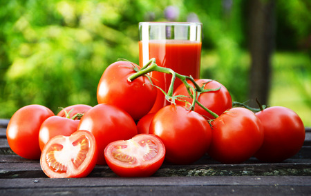 Tomatoes and juice in the garden  Organic food の写真素材