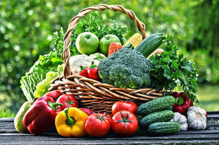 Wicker basket with assorted raw organic vegetables in the garden.の写真素材