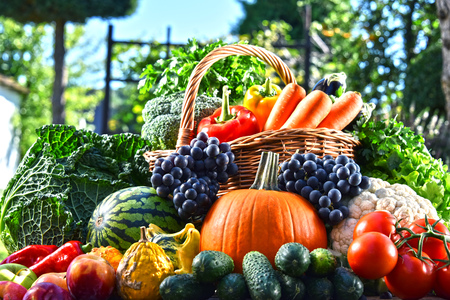 Variety of fresh organic vegetables and fruits in the garden. Balanced dietの写真素材