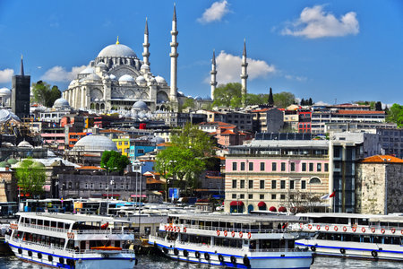 View on the Third Hill of Istanbul with Suleymaniye Mosque.のeditorial素材