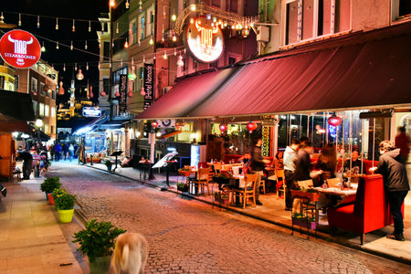 ISTANBUL, TURKEY - APR 24, 2017: Restaurants are great touristic attraction and important part of nightlife in the neighborhood area of Sultan Ahmed Mosque in Istanbulのeditorial素材