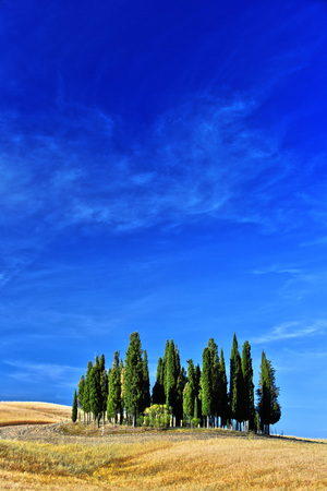 Landscape view of Val d'Orcia, Tuscany, Italy. UNESCO World Heritage Siteの写真素材