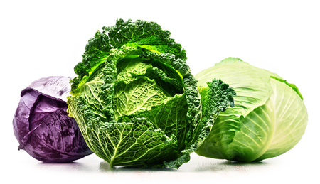 Three fresh organic cabbage heads isolated on white backgroundの写真素材