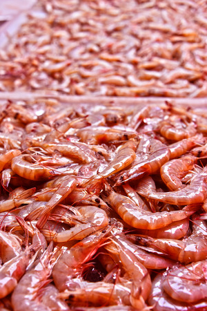 Fresh prawns on the street market stall in Bangkok, Thailand.の写真素材
