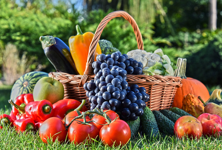 Variety of fresh organic vegetables and fruits in the garden. Balanced dietの写真素材