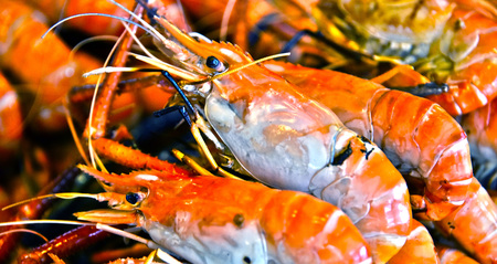 Prawn food in the street restaurant in Thailand.の写真素材