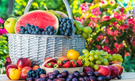 Variety of fresh ripe fruits in the garden. Balanced dietの写真素材