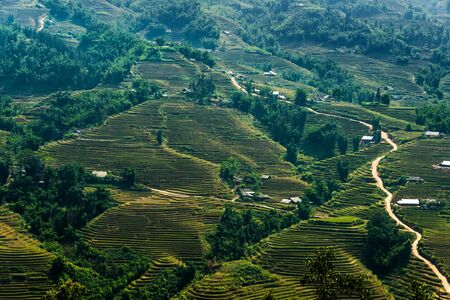 Landscape view of Sapa Valley in Lao Cai Province in northwest Vietnamの写真素材