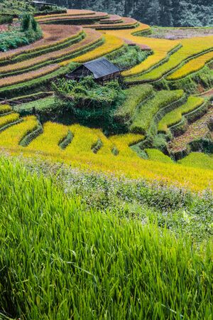 Landscape view of rice fields in Mu Cang Chai District, Yen Bai Province, North Vietnamの写真素材